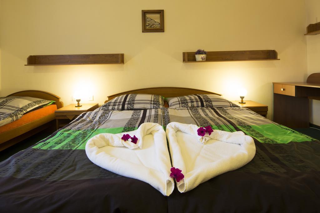 Pension & Restaurace Zeleny Mlyn Жацлерж Номер фото