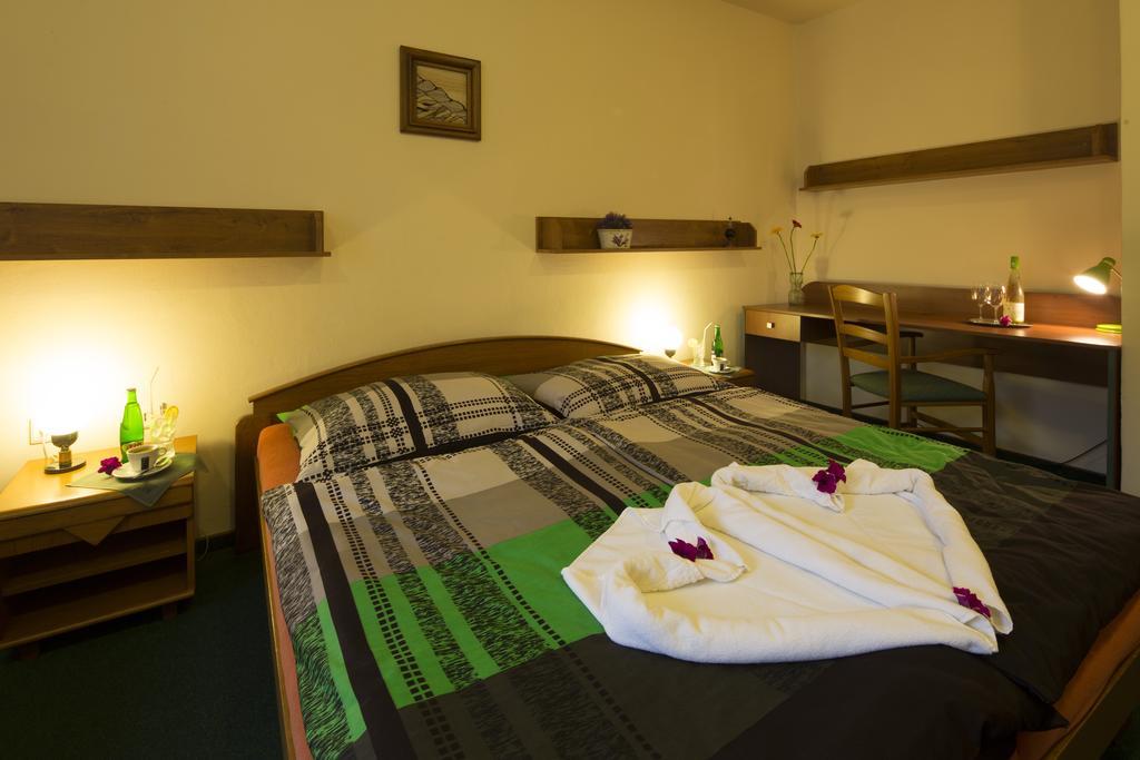 Pension & Restaurace Zeleny Mlyn Жацлерж Номер фото