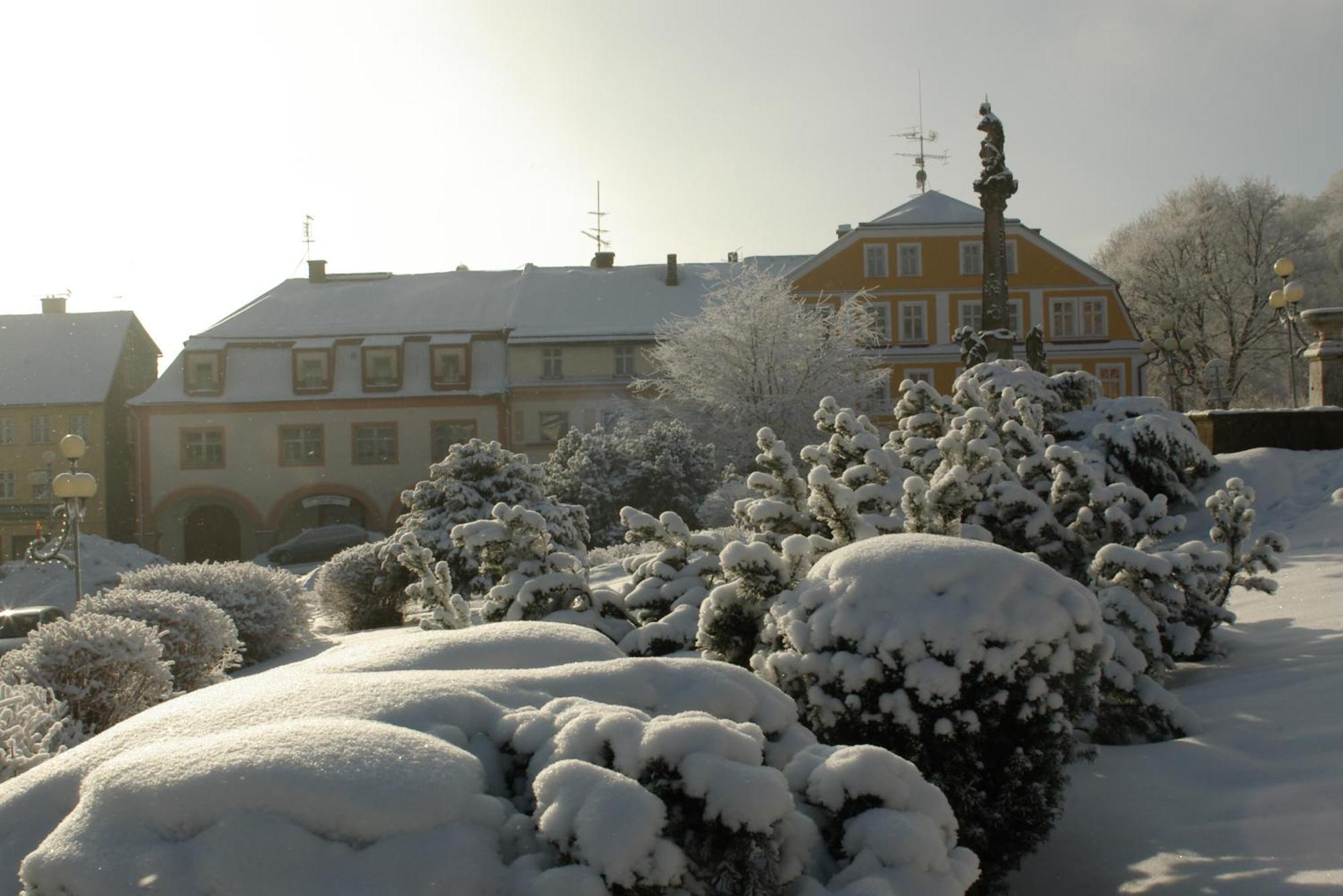 Pension & Restaurace Zeleny Mlyn Жацлерж Екстер'єр фото
