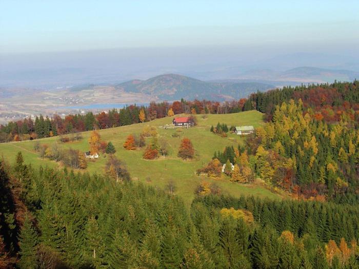Pension & Restaurace Zeleny Mlyn Жацлерж Екстер'єр фото